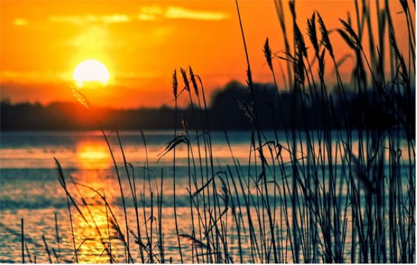 风光之道-阿卡迪亚是怎样炼成的？