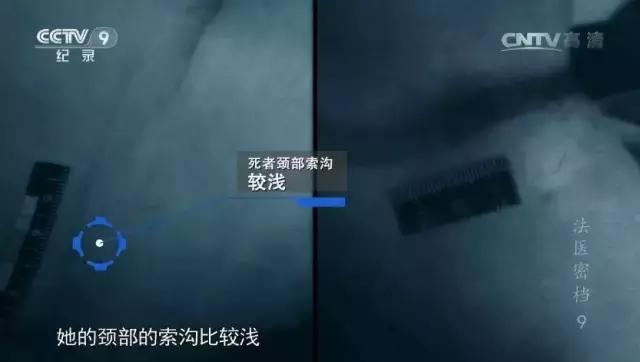 有什么好看的新片推荐一下,哪些好看的剧不要钱