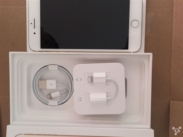 网友晒首批iPhone7开箱:黑色、玫瑰金成主流