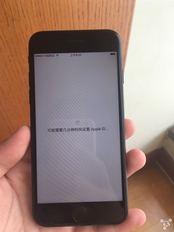 网友晒首批iPhone7开箱:黑色、玫瑰金成主流