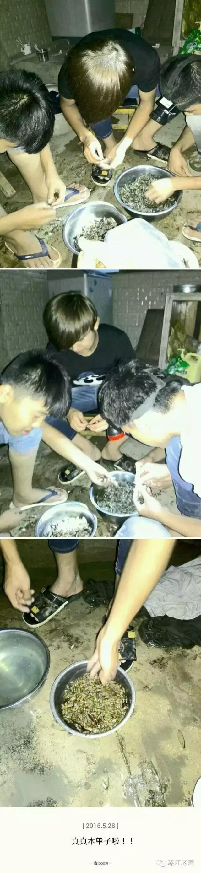 云南昆虫宴美食,云南特色虫宴