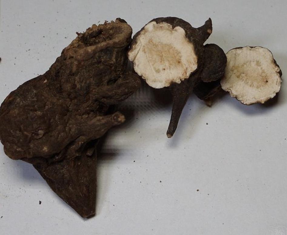 治颈椎病的手工膏药,专治颈椎病疼痛中草药药方