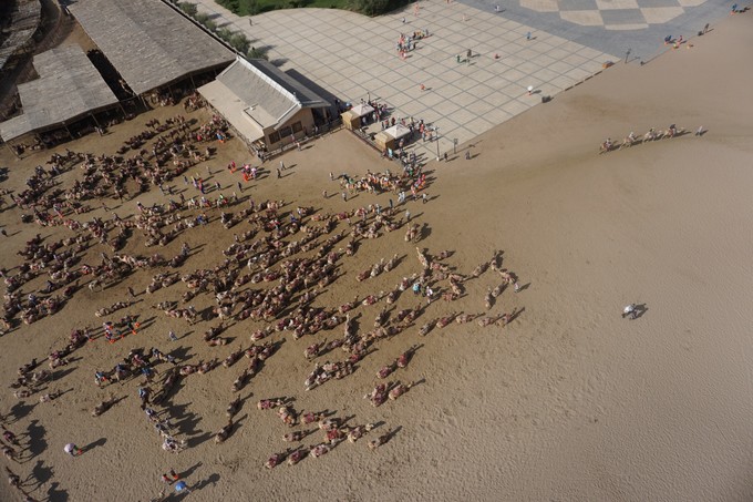 青海大西北之旅 (西宁青海湖张掖敦煌夏季之旅)