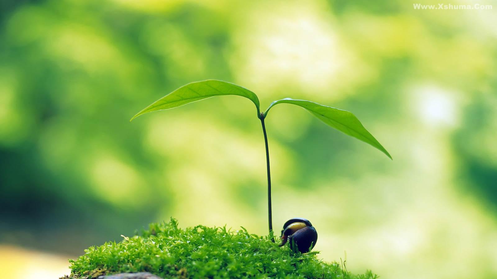 一段最触动心弦的话,一段优美的话