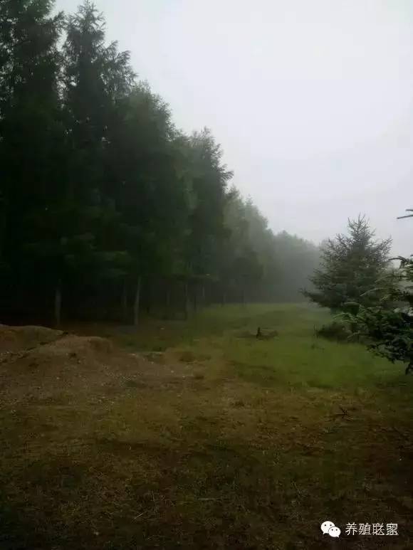 交流养殖经验找对方法很重要,交流养殖经验