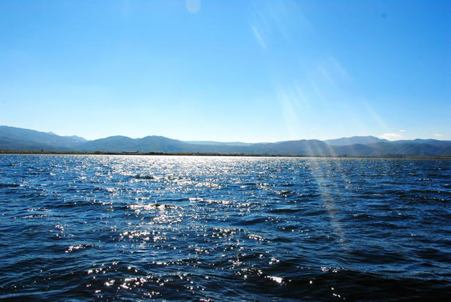 寻找生命中的一束光,寻找生命的那份青春