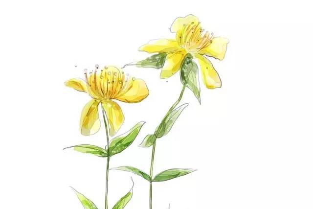 A·H艺居八周年纪念有你的时光