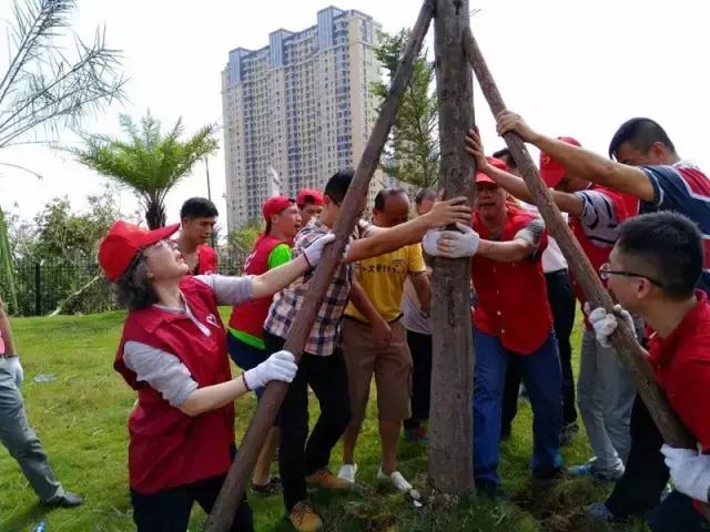 台风后的厦门值得一看,台风过后的厦门依然美丽