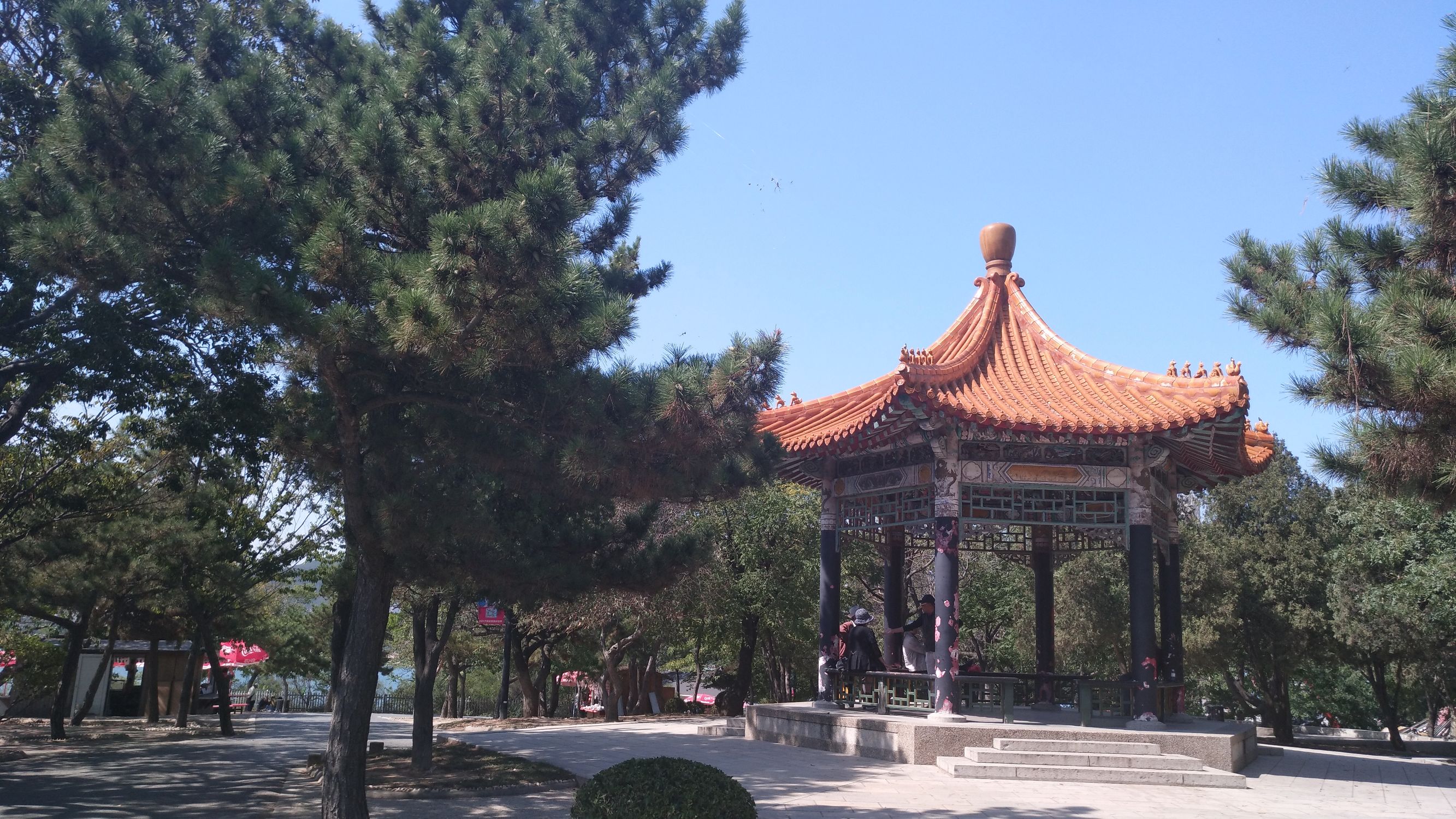 大王叫我来“巡街”:大连星海广场、星海公园、黑石礁