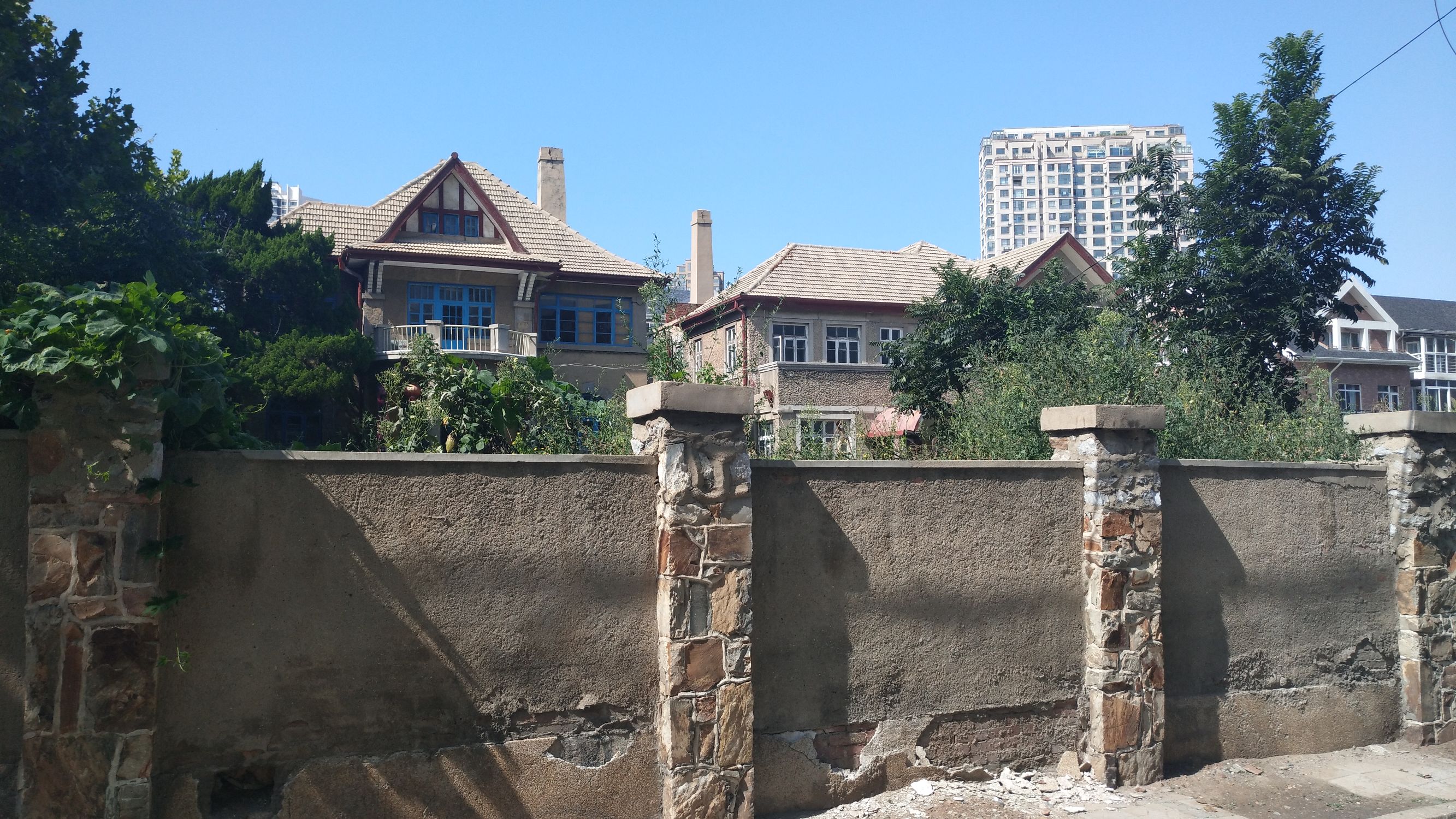 大王叫我来“巡街”:大连星海广场、星海公园、黑石礁