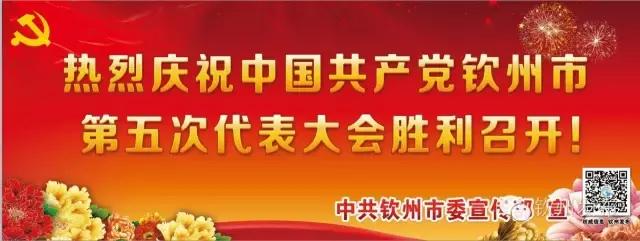 华为、七喜等名企助力,“钦州元素”绽放中国—东盟博览会