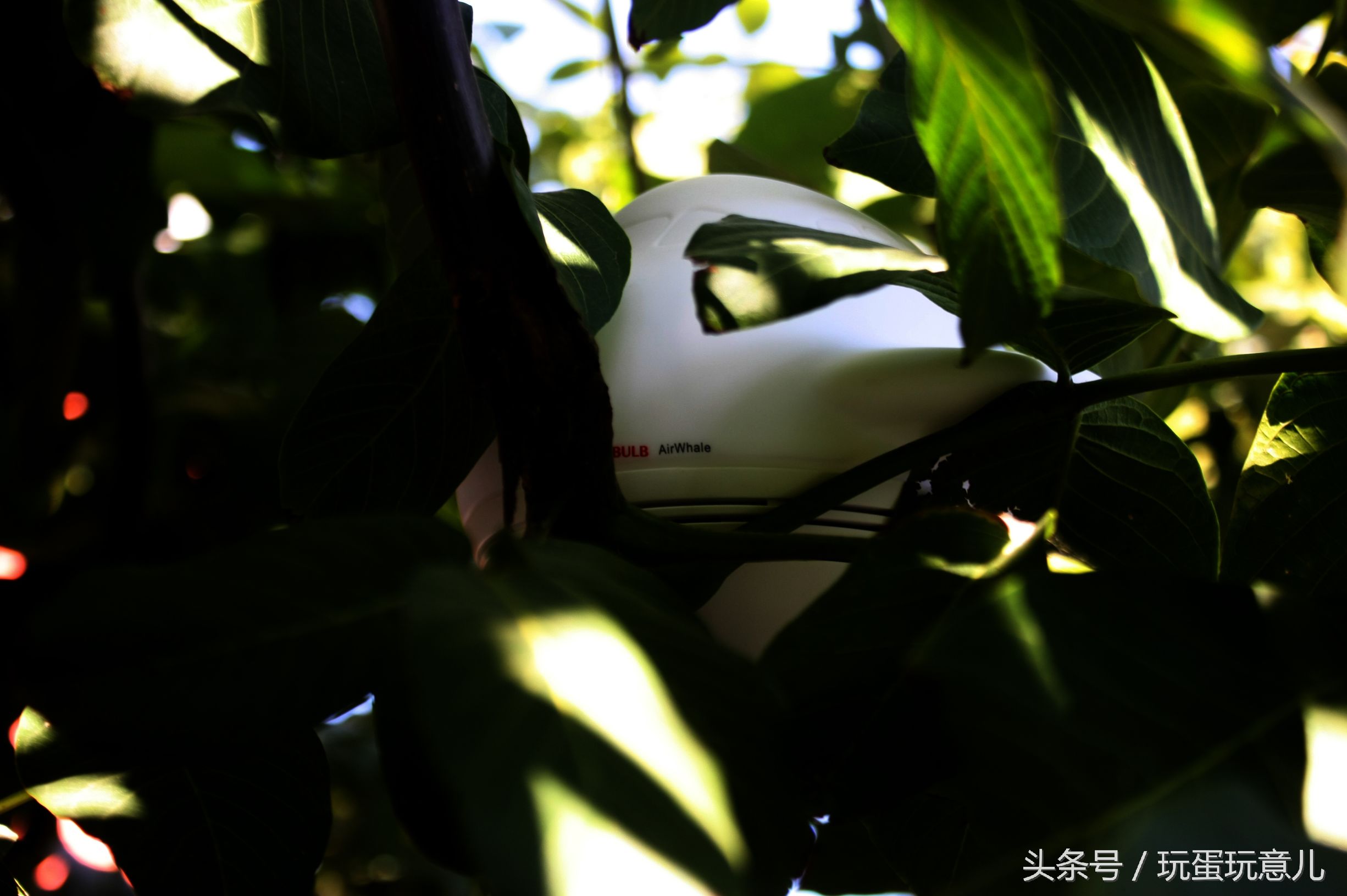 照星爷的话讲，想撩妹吗我教你！AirWhale智能音响灯体验