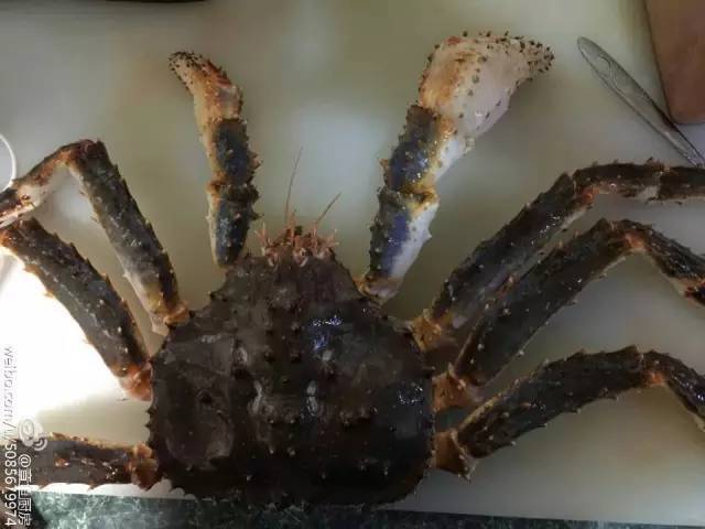 成都最值得吃的一家店,成都吃青蟹的地方