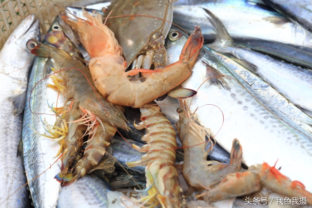 澶ц繛绾㈠矝,澶ц繛甯傞噾宸炲尯绾㈠矝