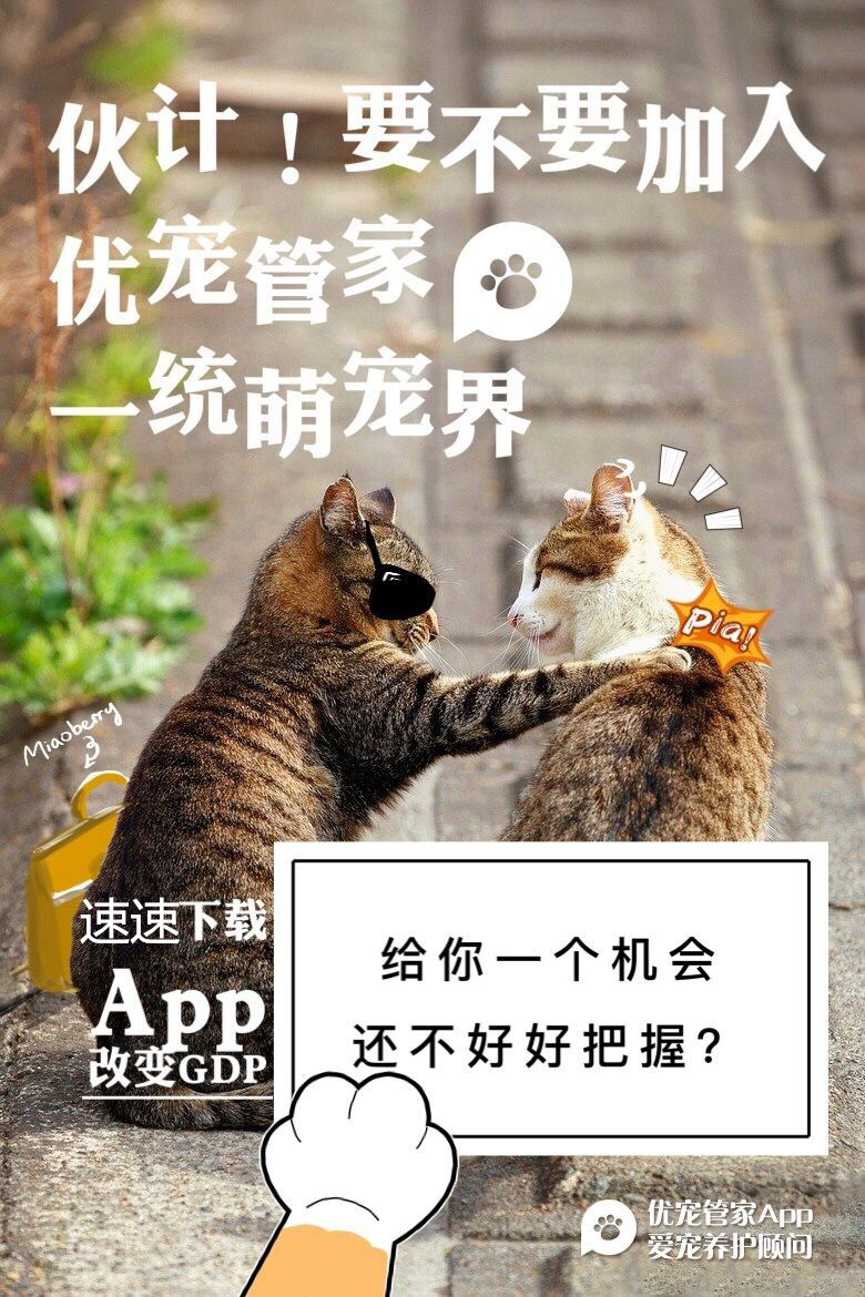 狗狗吃了异物导致便血怎么治疗,狗狗吃了异物拉出来后如何护理