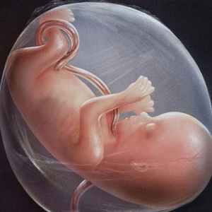 胎儿脐带绕颈原因？影响？分娩注意事项？预防方法？都在这里！