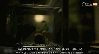 有什么好看的新片推荐一下,哪些好看的剧不要钱