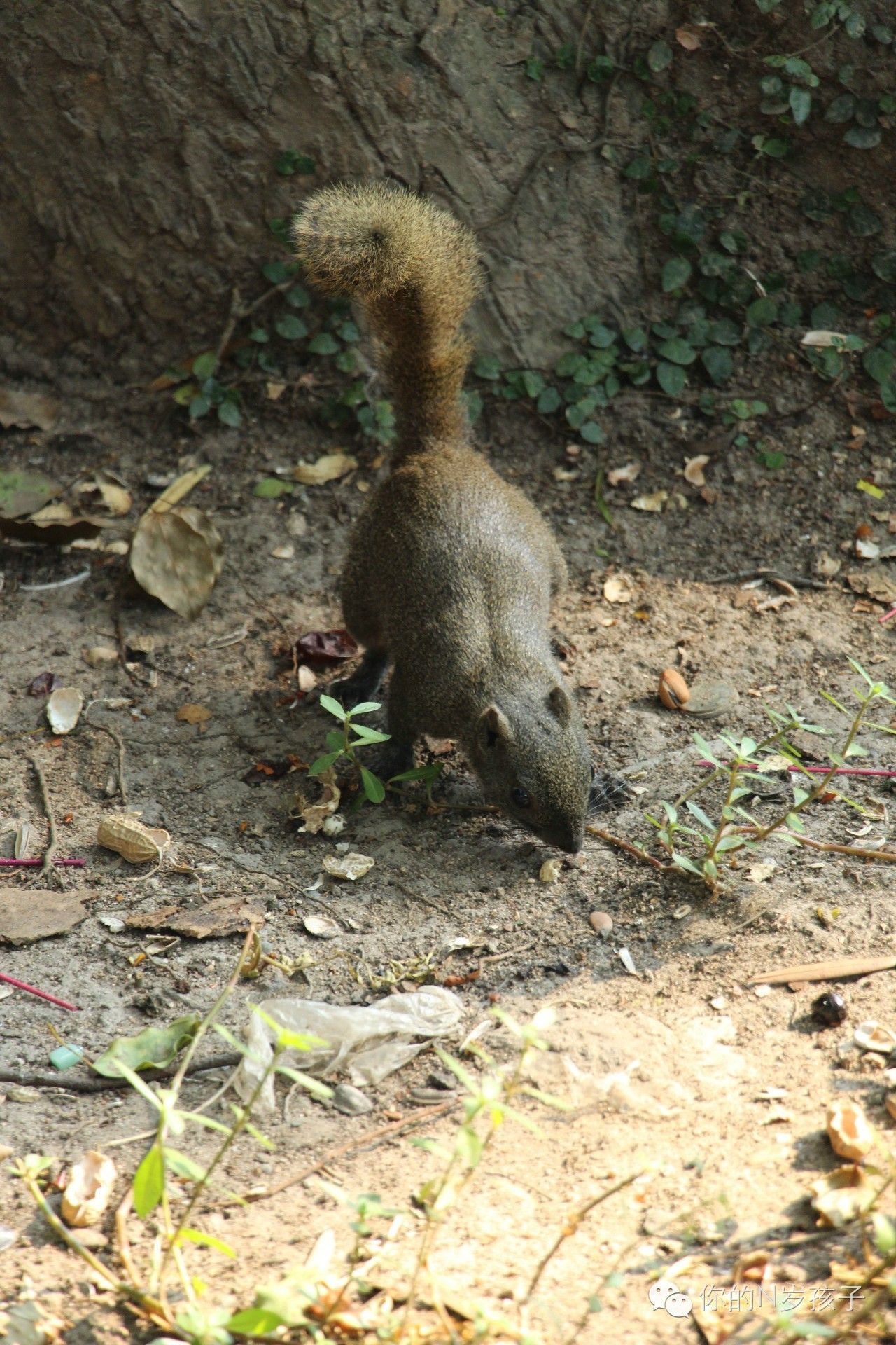 旅行中的成长,旅行成长