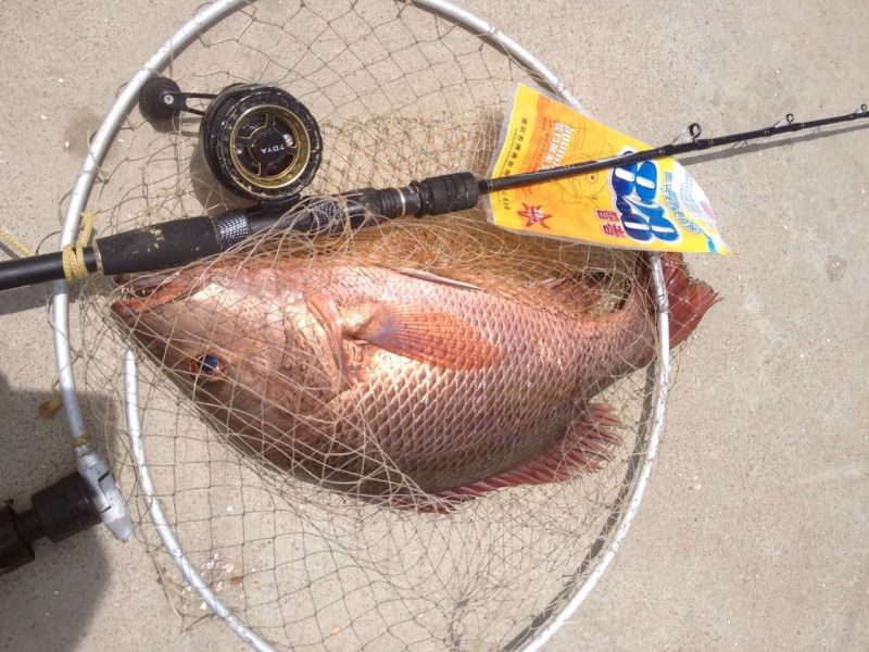 海筏最佳时间表,夏天岸筏技巧