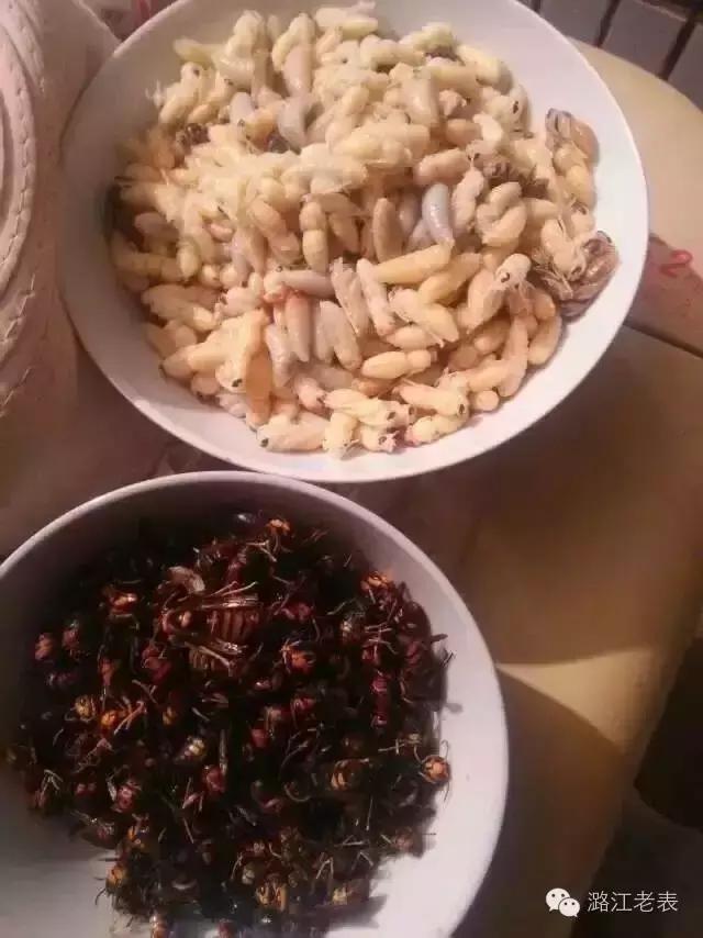 云南昆虫宴美食,云南特色虫宴