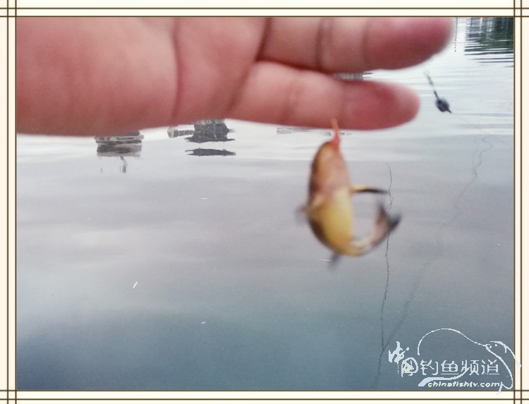 钓鱼独辟蹊径,钓鱼不求渔获