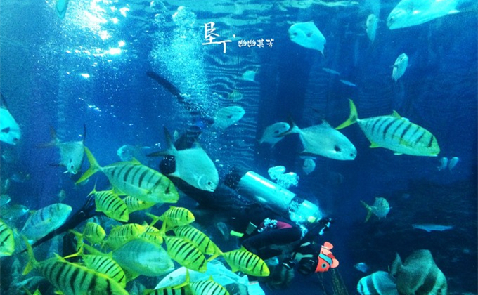 垦丁大街春节包车多少钱,从垦丁到花莲东海岸线游览包车