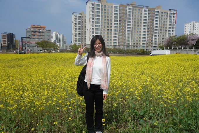 3月济州岛旅游游记,四月的济州岛机票