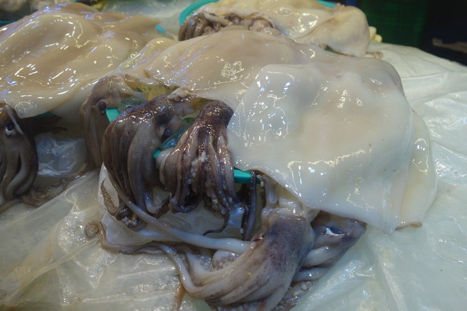 3月济州岛旅游游记,四月的济州岛机票