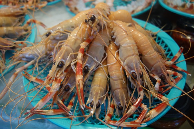 3月济州岛旅游游记,四月的济州岛机票