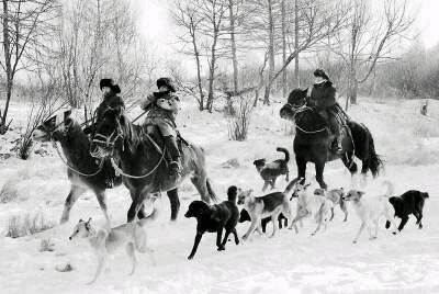 纯纯的土狗,纯纯的小土狗