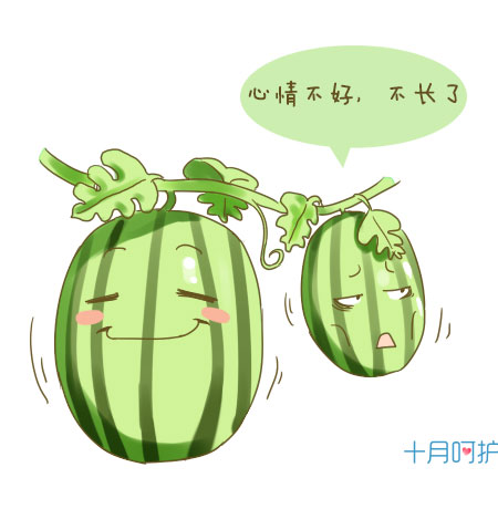 发生过胎停的孕妇应该注意什么,孕妈遭遇流产