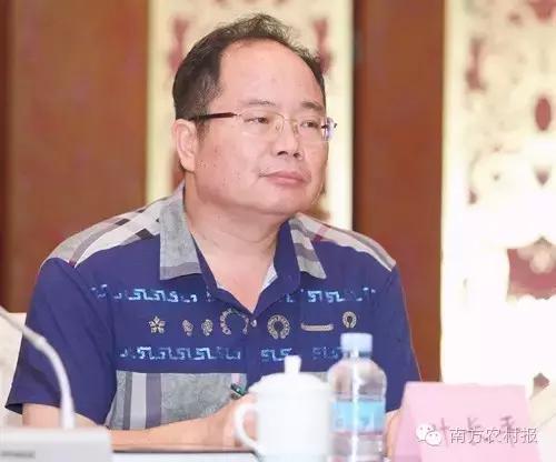 广东县域电商,广东省电商发展好的地方