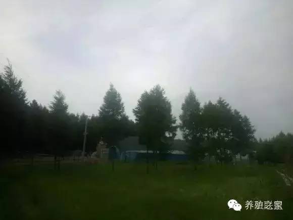 交流养殖经验找对方法很重要,交流养殖经验