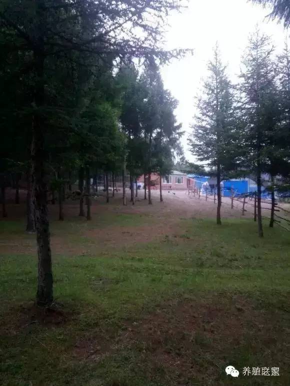 交流养殖经验找对方法很重要,交流养殖经验