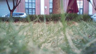 美嘉欣x709无人机开箱,无人机美嘉欣x103测评