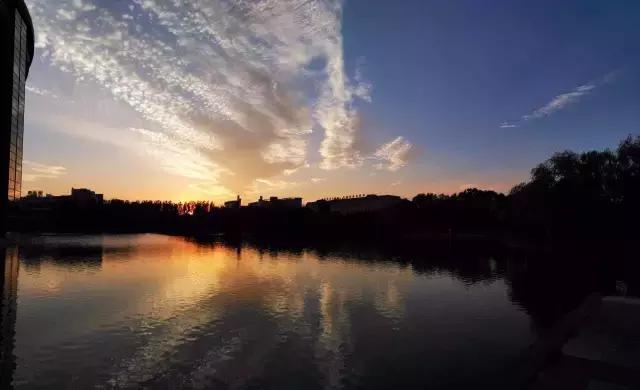 落脚高新区10年的郑漂呼唤：许我一座高新城