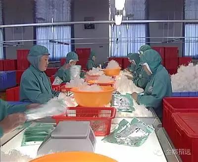 龙口粉丝招远什么地方出品,龙口粉丝招远产