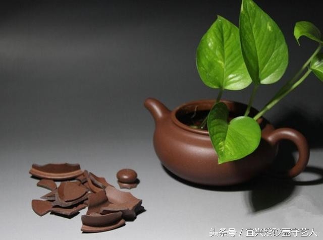 夜壶碎了一地怎么办,养好的壶还能再用开水煮吗