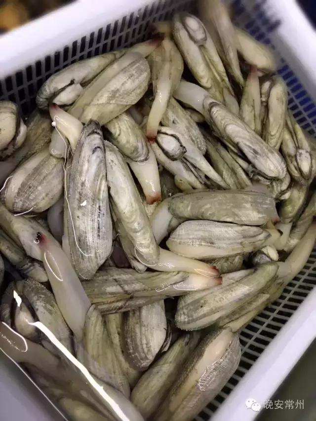 中秋佳节家的味道,中秋家宴视频