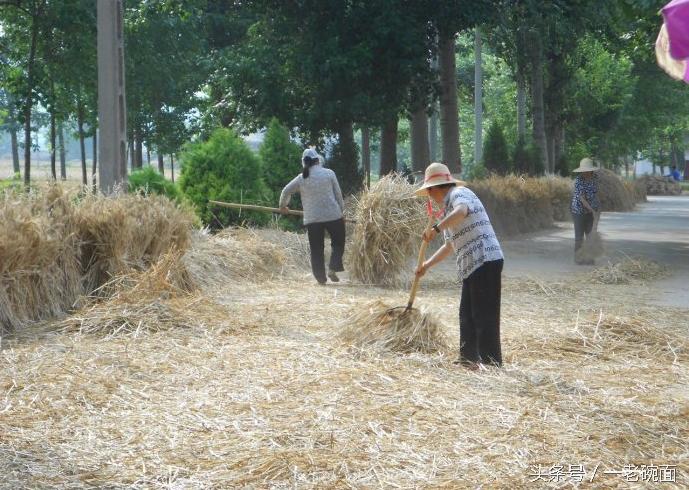 怀念我的妈妈闽南语,怀念我的妈妈原唱