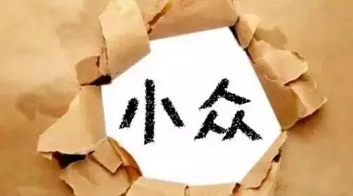 一个小领域怎么赚钱,一个小众创业项目