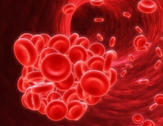 盘点：本月倍受关注的CSCO液体活检相关卫星会日程