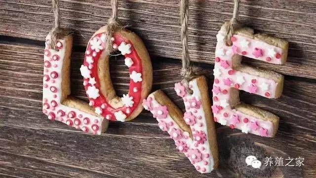 还在犹豫上不上羊？看看某人养羊的经验分享吧！