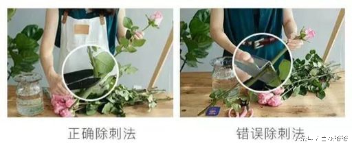 鲜花插花图解大全,鲜花醒花后怎么插花好看