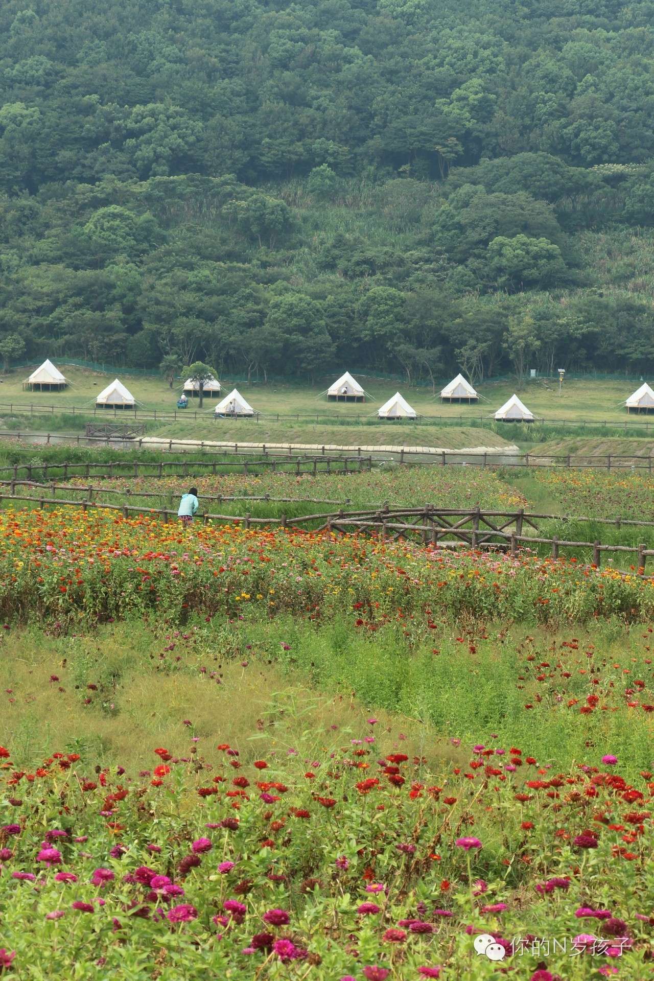 旅行中的成长,旅行成长