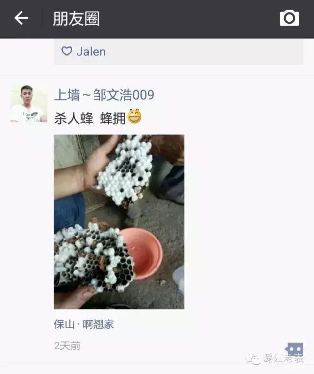 云南昆虫宴美食,云南特色虫宴