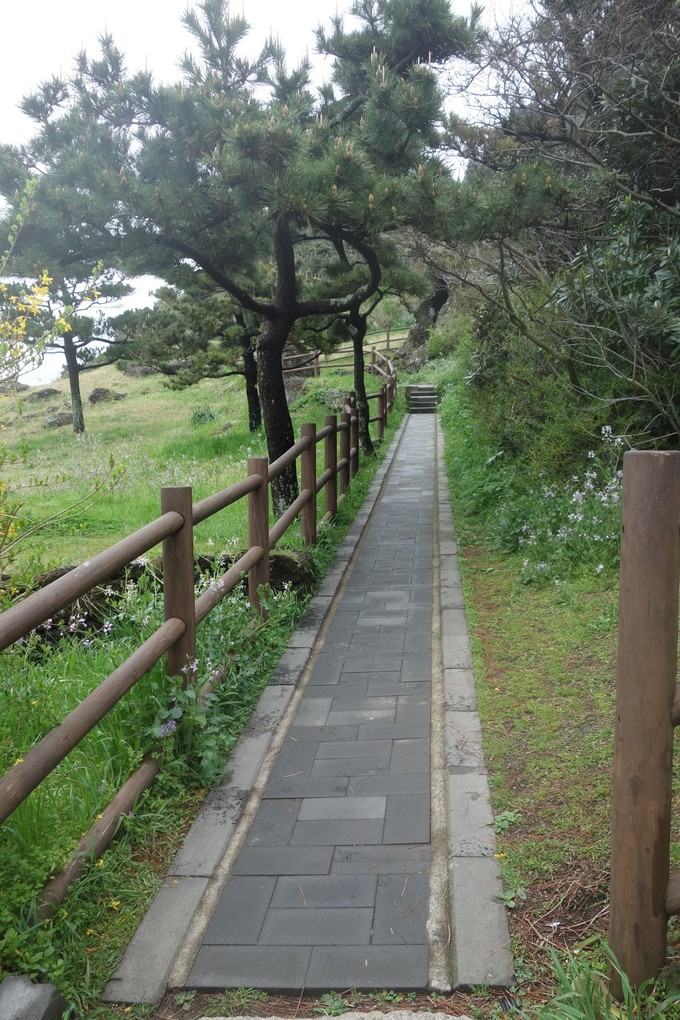 3月济州岛旅游游记,四月的济州岛机票