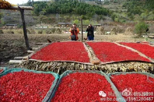 秦岭深处的周至老县城,探访周至名人
