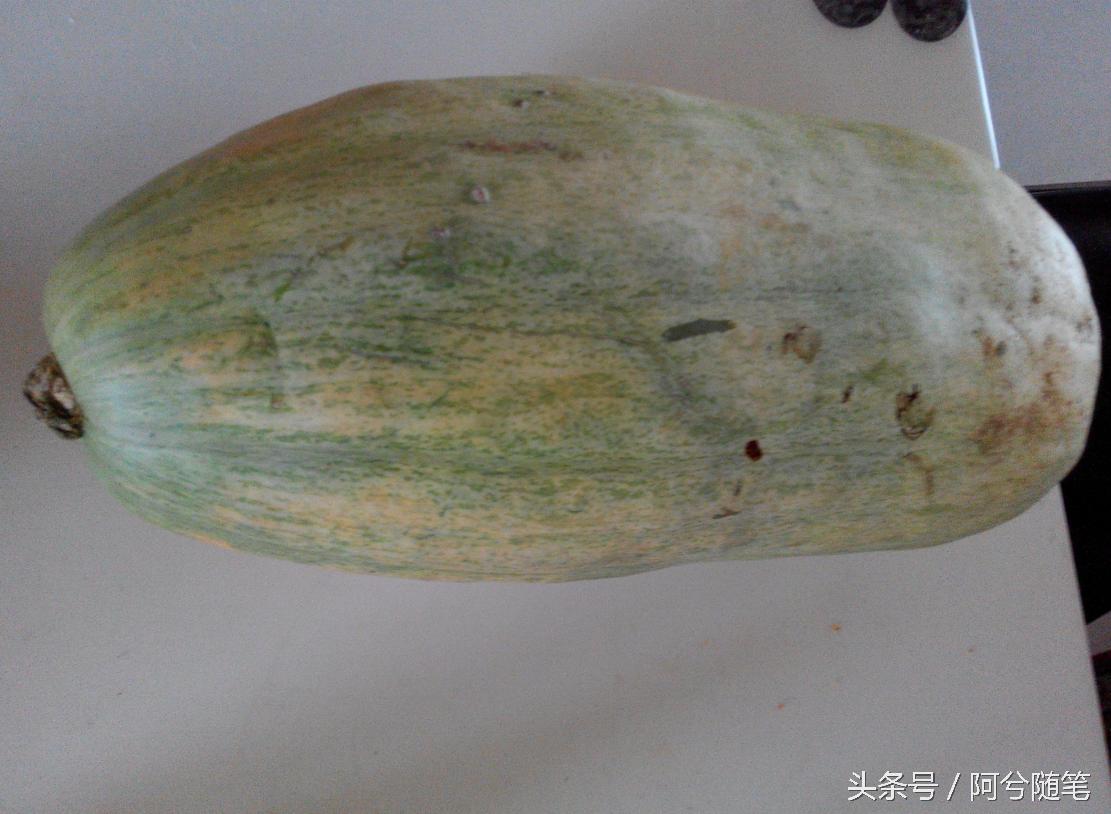 农村人最爱种植的20种“瓜”,你认识几个?|阿兮随笔