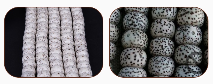 什么样星月菩提子是最好的,精品星月菩提108颗手串